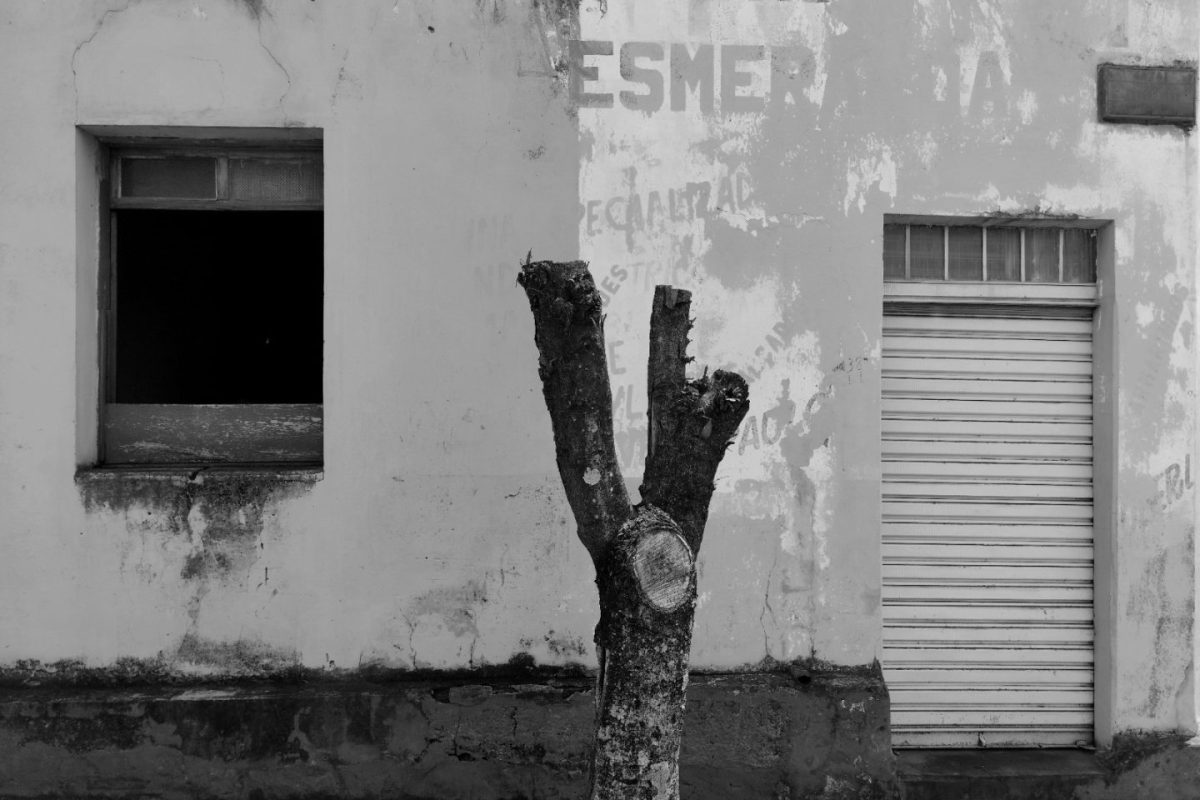 João Almeida (Entre)corpos