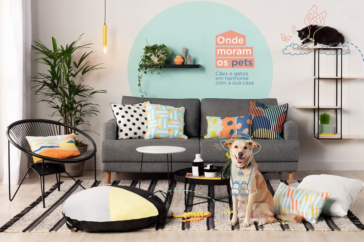 KV-Pets-1920X1080-1-copiar-1