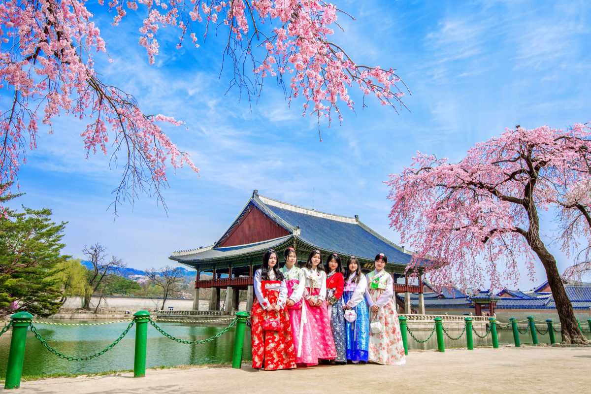 SEOUL, SOUTH KOREA - APRIL 6: Gyeongbokgung Palace with cherry b