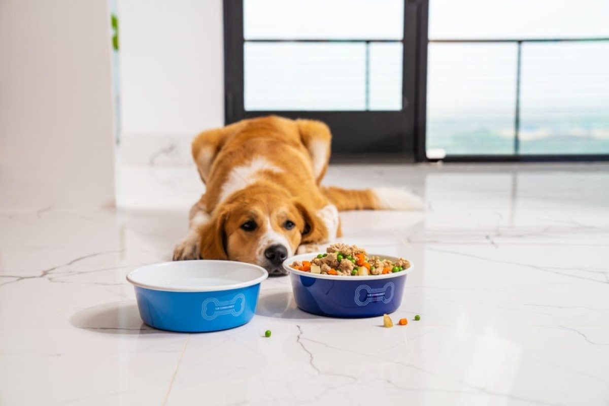 Le-Creuset-Pet-Collection-1