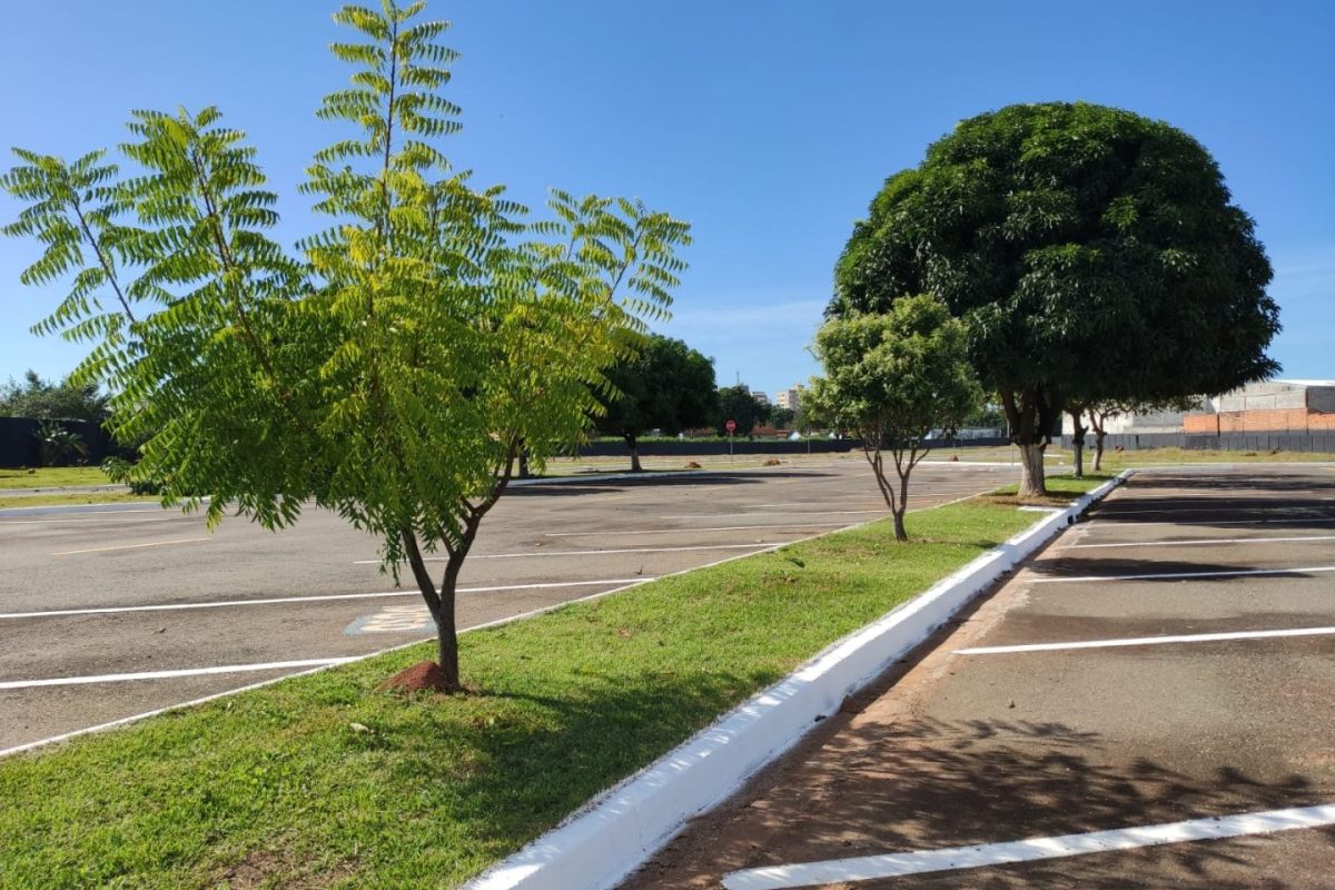 Parque-Am-Israel-Chai