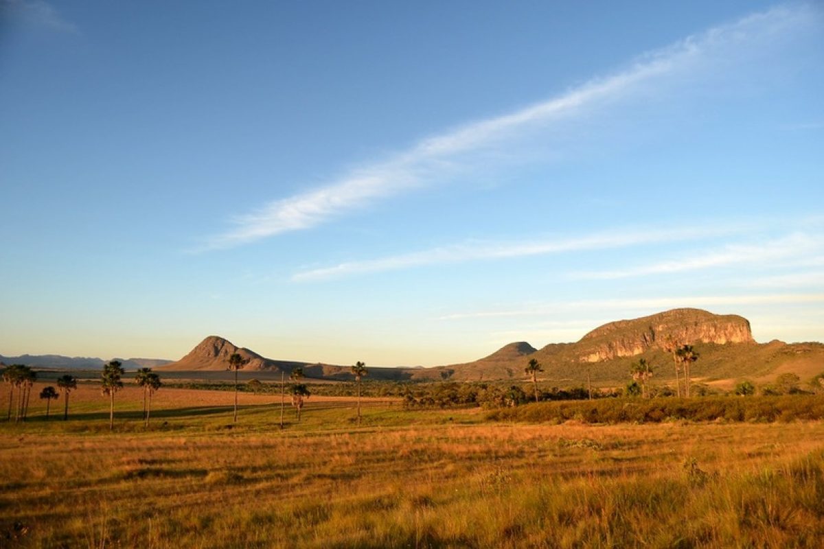 Parque Nacional da Chapada dos Veadeiros. (Foto: Everaldo Vilela)