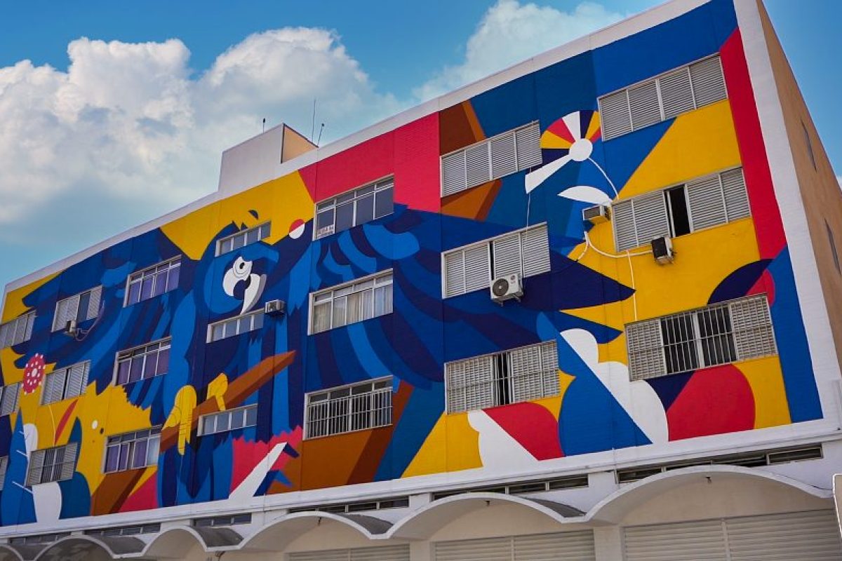 Pinturas-ja-feitas-pelo-artista-Selon-4-1