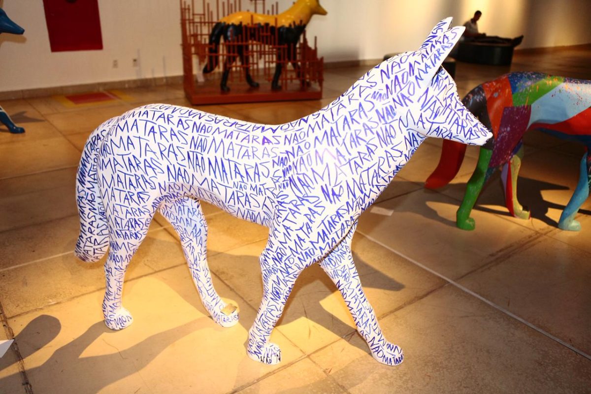 Exposição Fauna e Flora