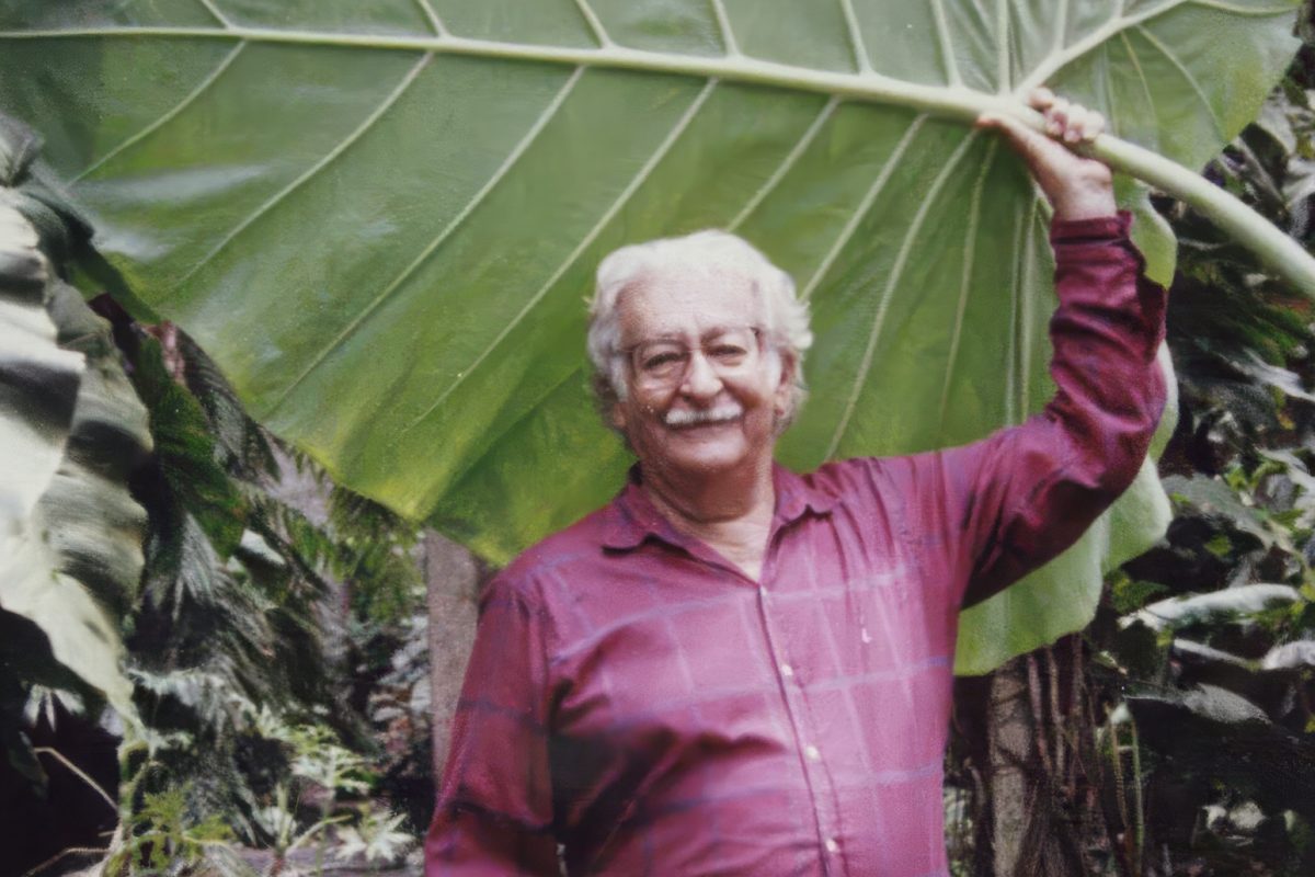 Projeto Cerradim arte e botânica Goiânia