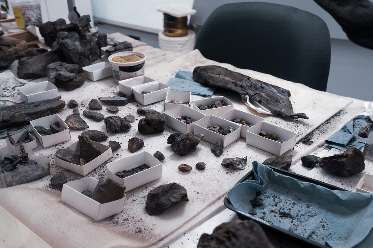 Projeto-Sabado-Tem-Museu