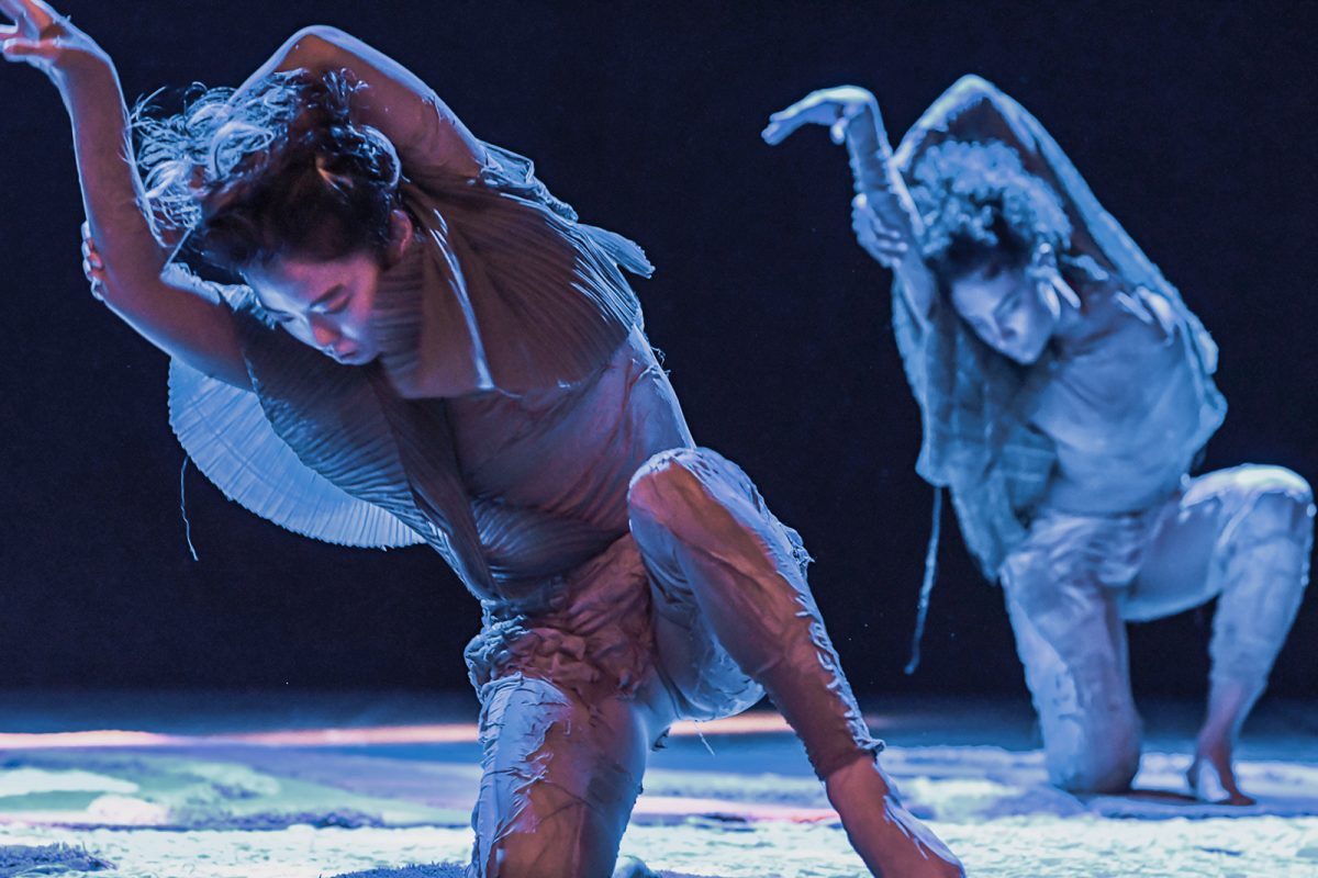 Quasar-Cia-de-Danca-1