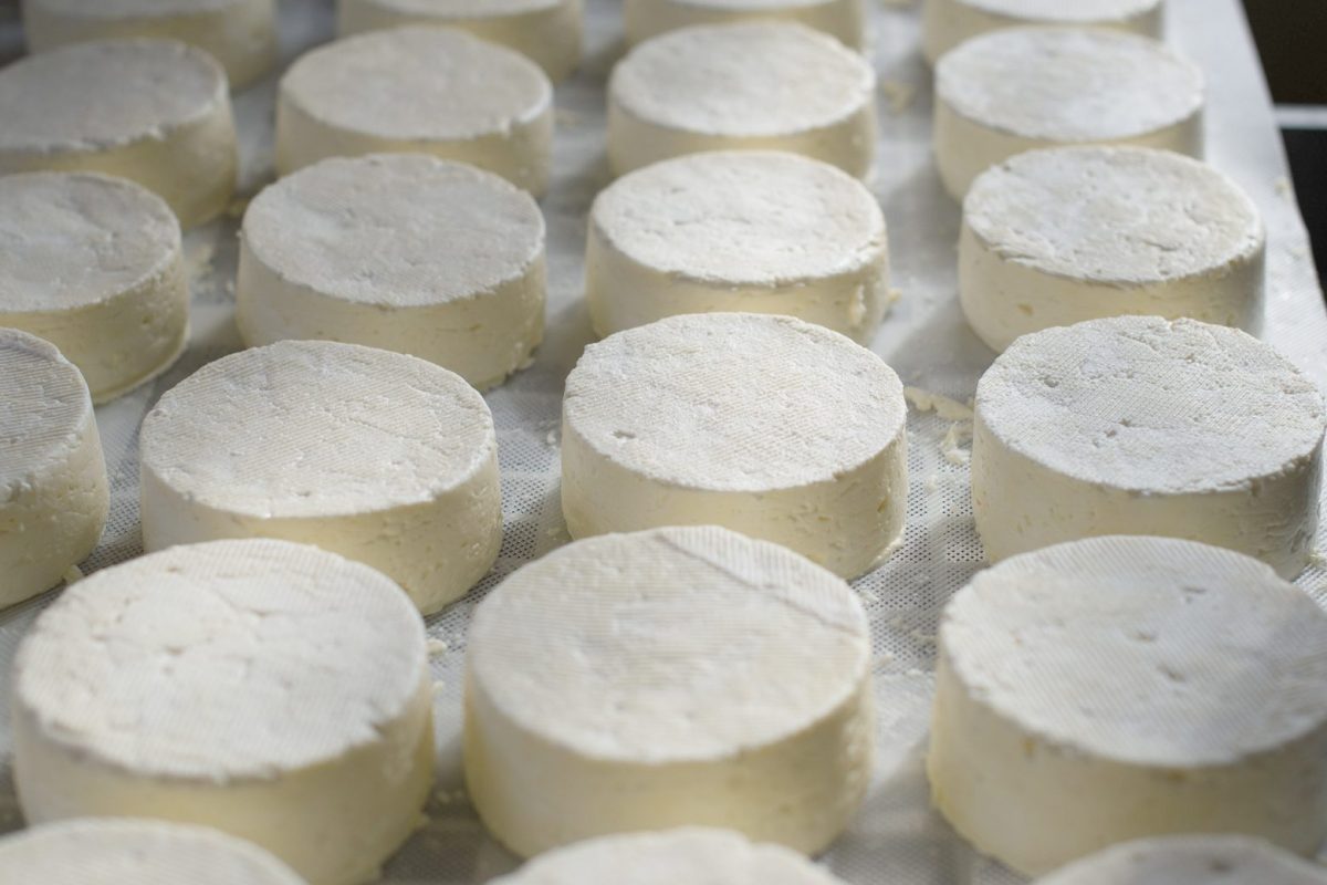 Queijos-brasileiros-1