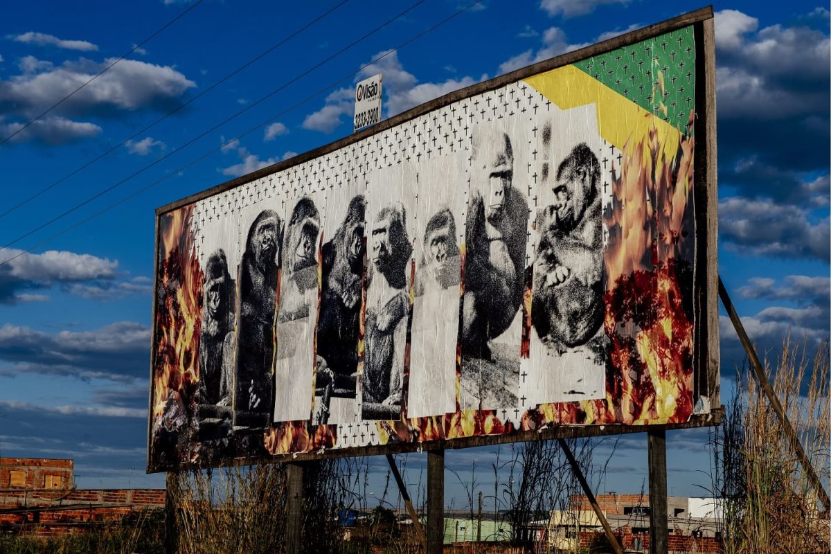 Vera-Chaves-Barcellos-Brasilia-BAIXA-20200829-JAC_5751-Creditos_-Jacqueline-Lisboa-2-1