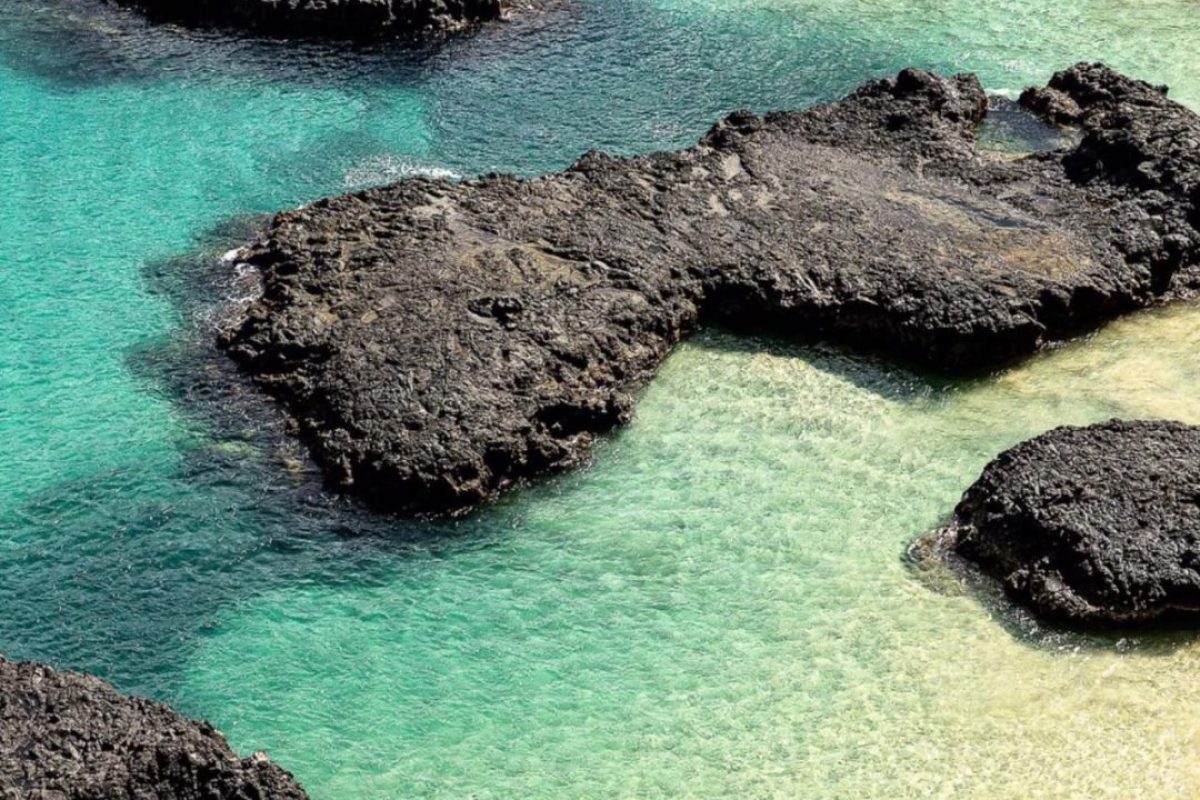 WhatsApp-Image-2022-05-13-at-16.17.01-1