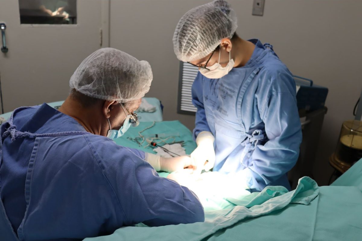 WhatsApp-Image-2023-04-10-at-14.56.37-1