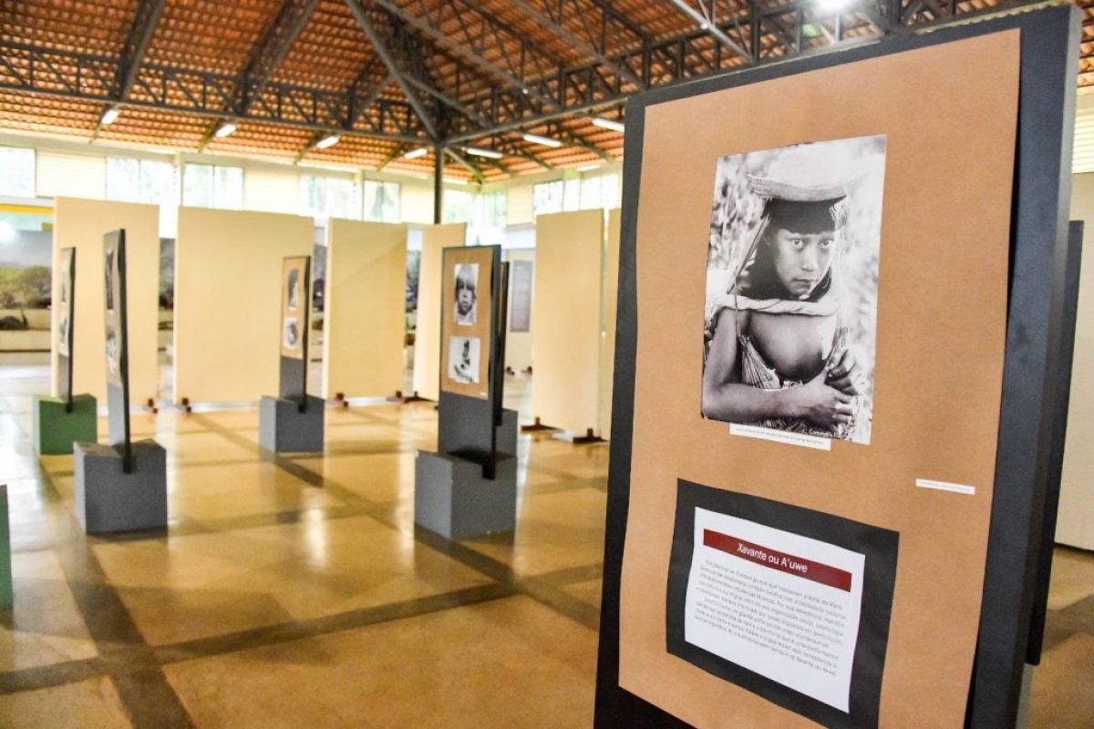 WhatsApp-Image-2023-04-13-at-14.18.03-1