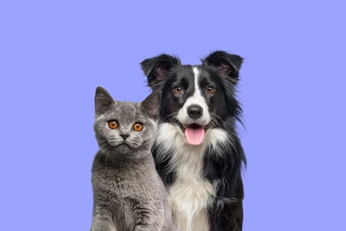 WhatsApp-Image-2023-04-18-at-15.07.13-1