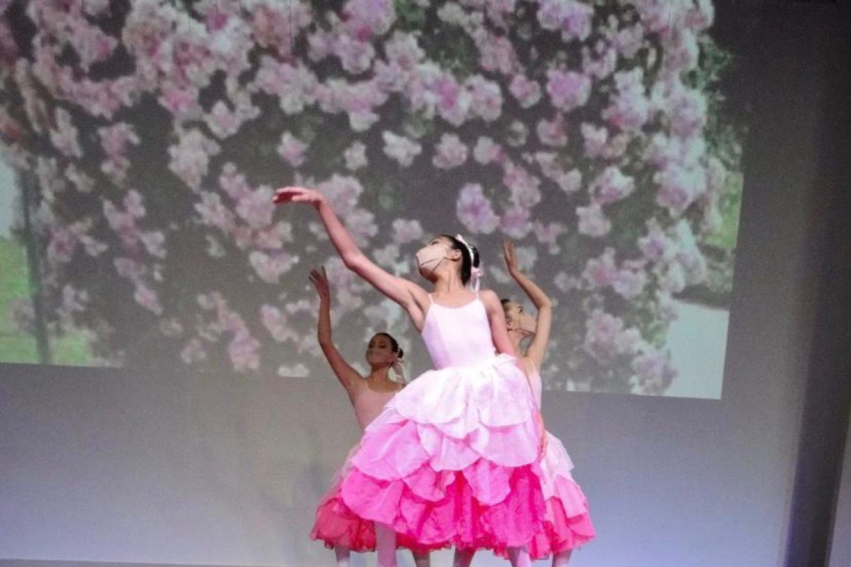 Fotos: Secult / Divulgação