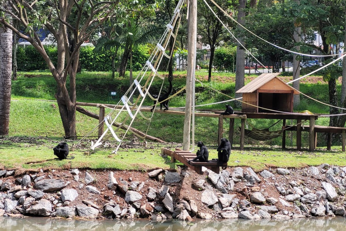 Zoologico-de-Goiania-1