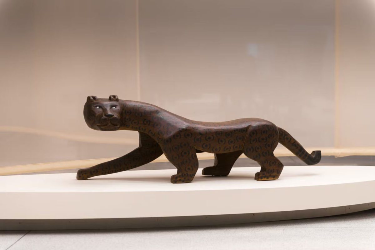 bancos_indigenas_do_brasil_._foto_divulgacao_mon_1