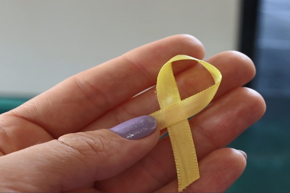 campanha-Setembro-Amarelo-1