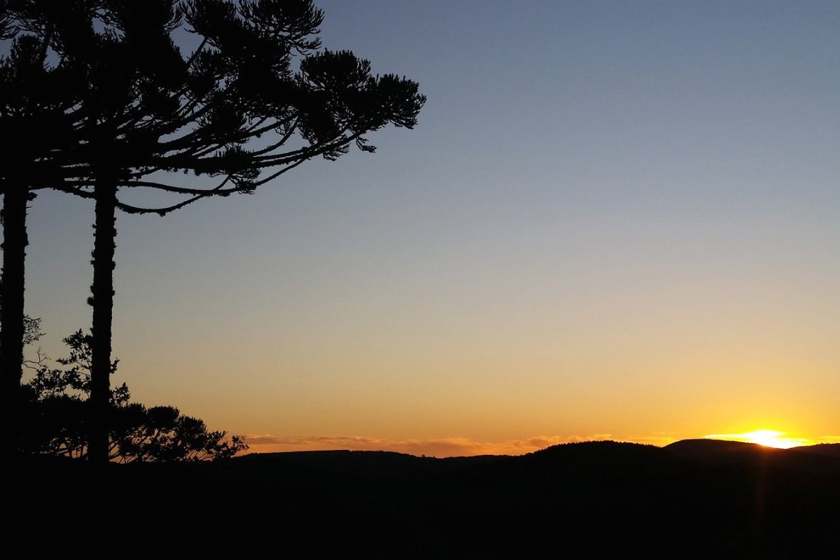 campos-do-jordao-1 campos-do-jordao-1