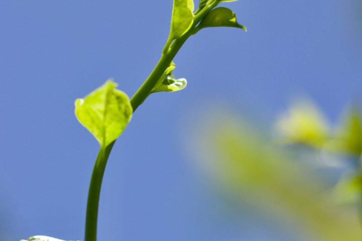 chitto-cancio-HMH7lcM2Guo-unsplash-scaled-1