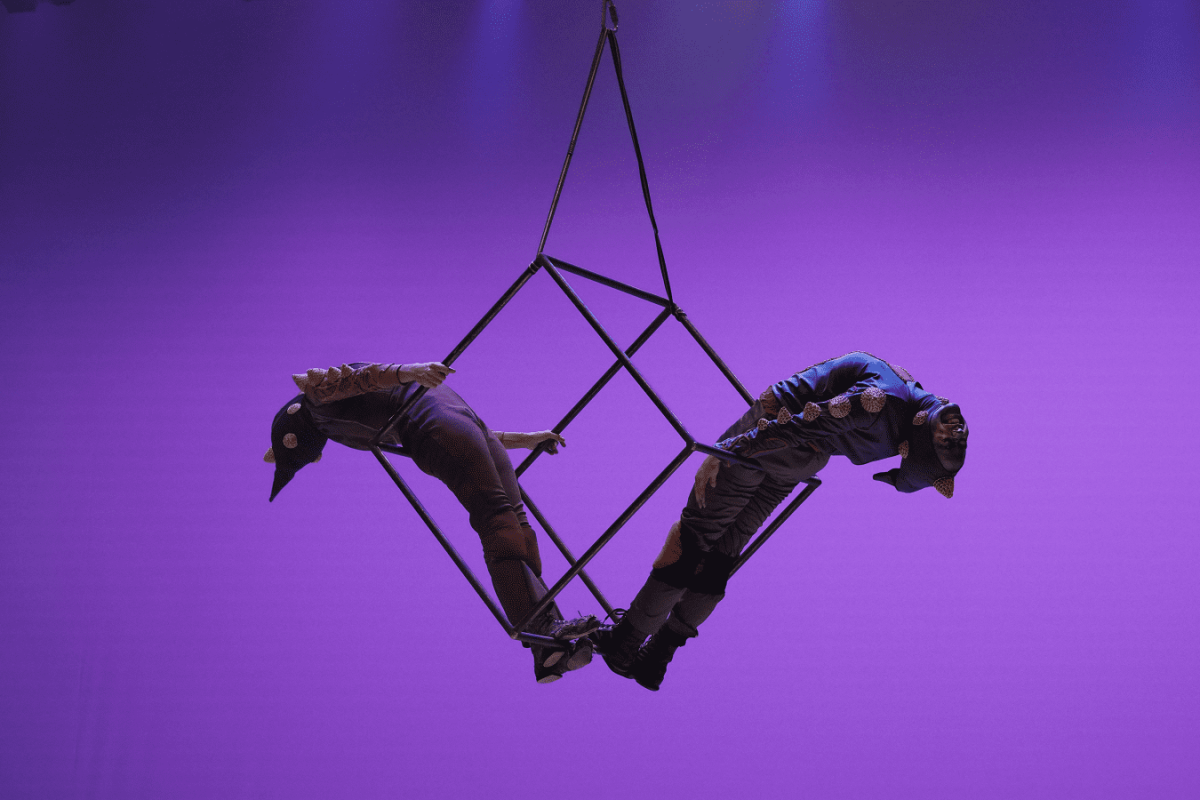 companhia-corpo-na-contramao-1