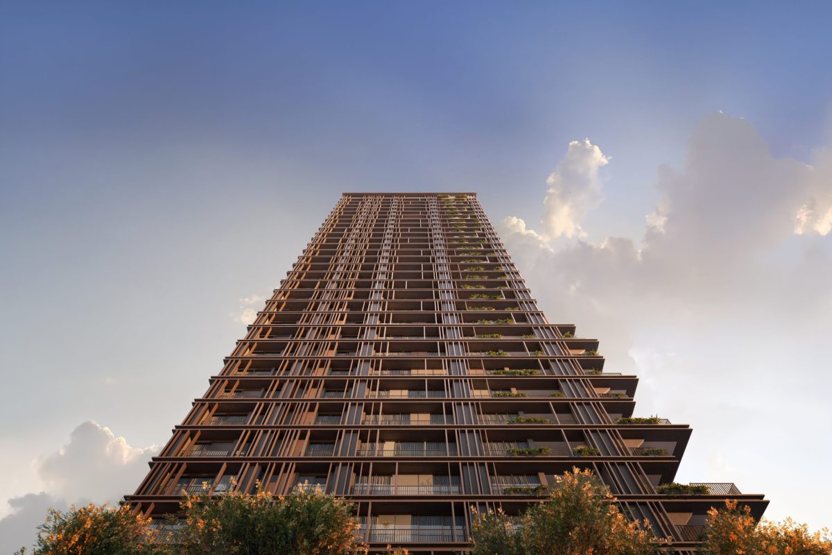 consciente construtora