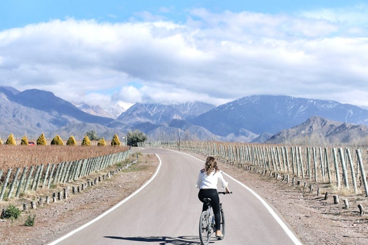 dia-mundial-da-bicicleta-2-1