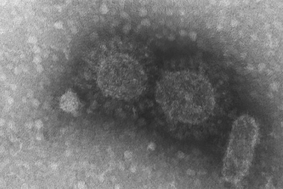 grupo-que-estudara-novos-patogenos-1