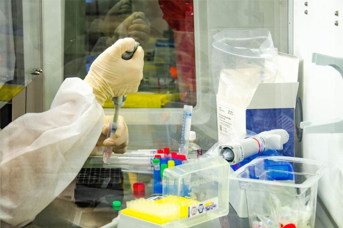 ibmp_intec_2020_c_itamar_crispim-8678_0