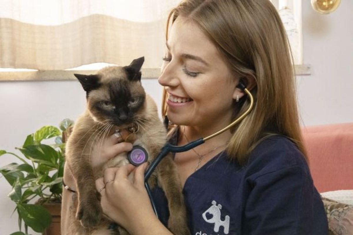 imunidade-dos-pets-1