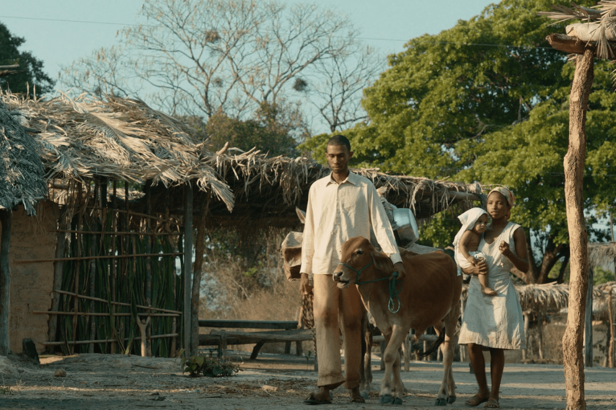 mostra-permanente-de-curtas-1