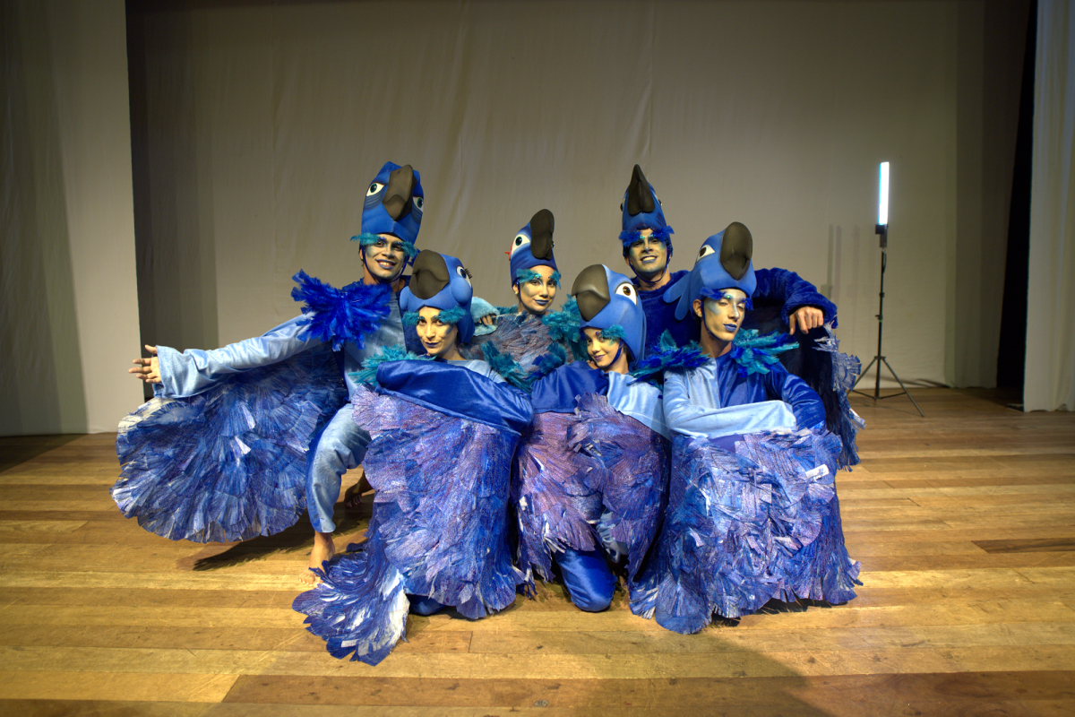 musical-inspirado-no-filme-rio-1