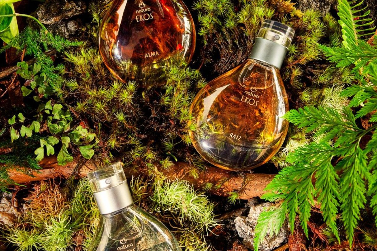 natura-ekos-amazonia natura-ekos-amazonia