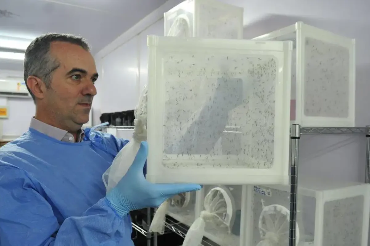 World Mosquito Program