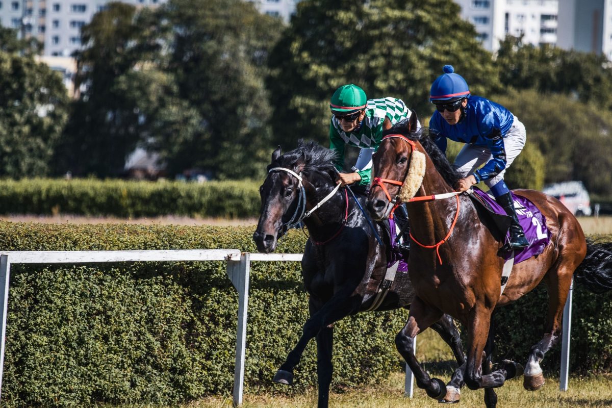 Hipódromo