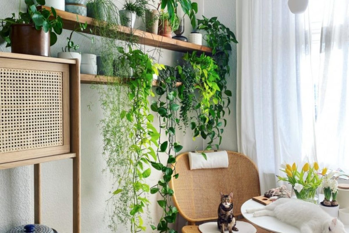 plantas-mais-indicadas-para-apartamentos-e-casas-821x1024-1