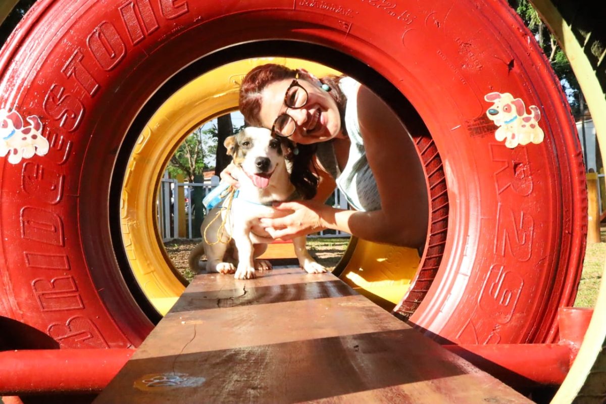 primeiro-pet-place-100-reciclavel-1-1