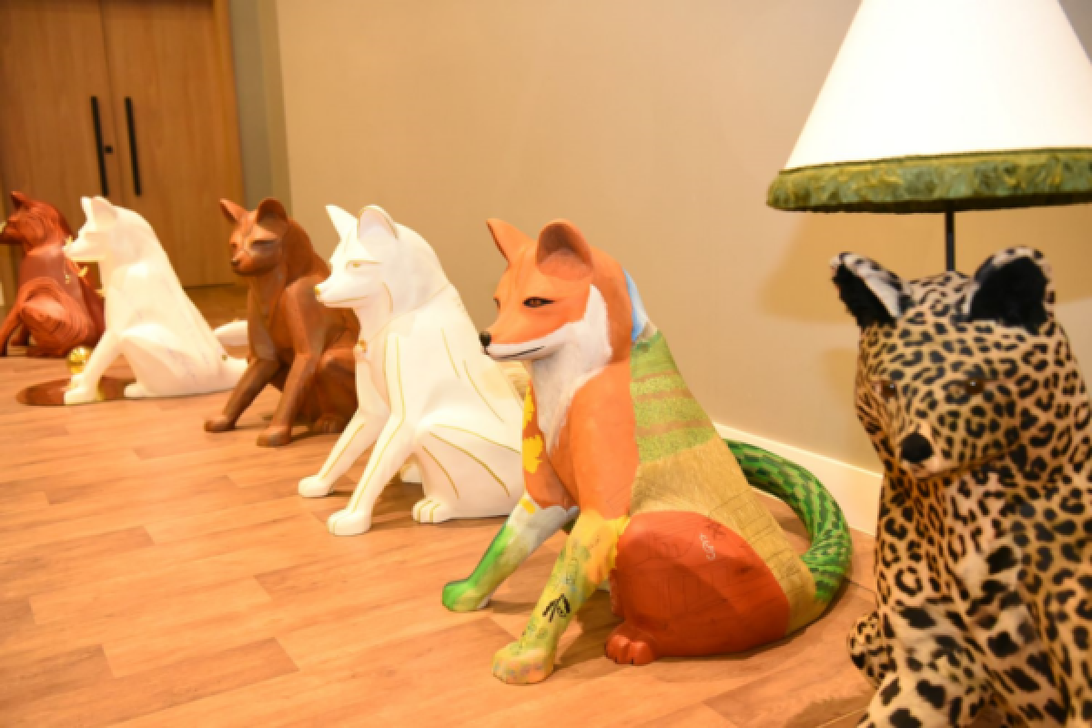 raposa-40-1-768x513-600x400