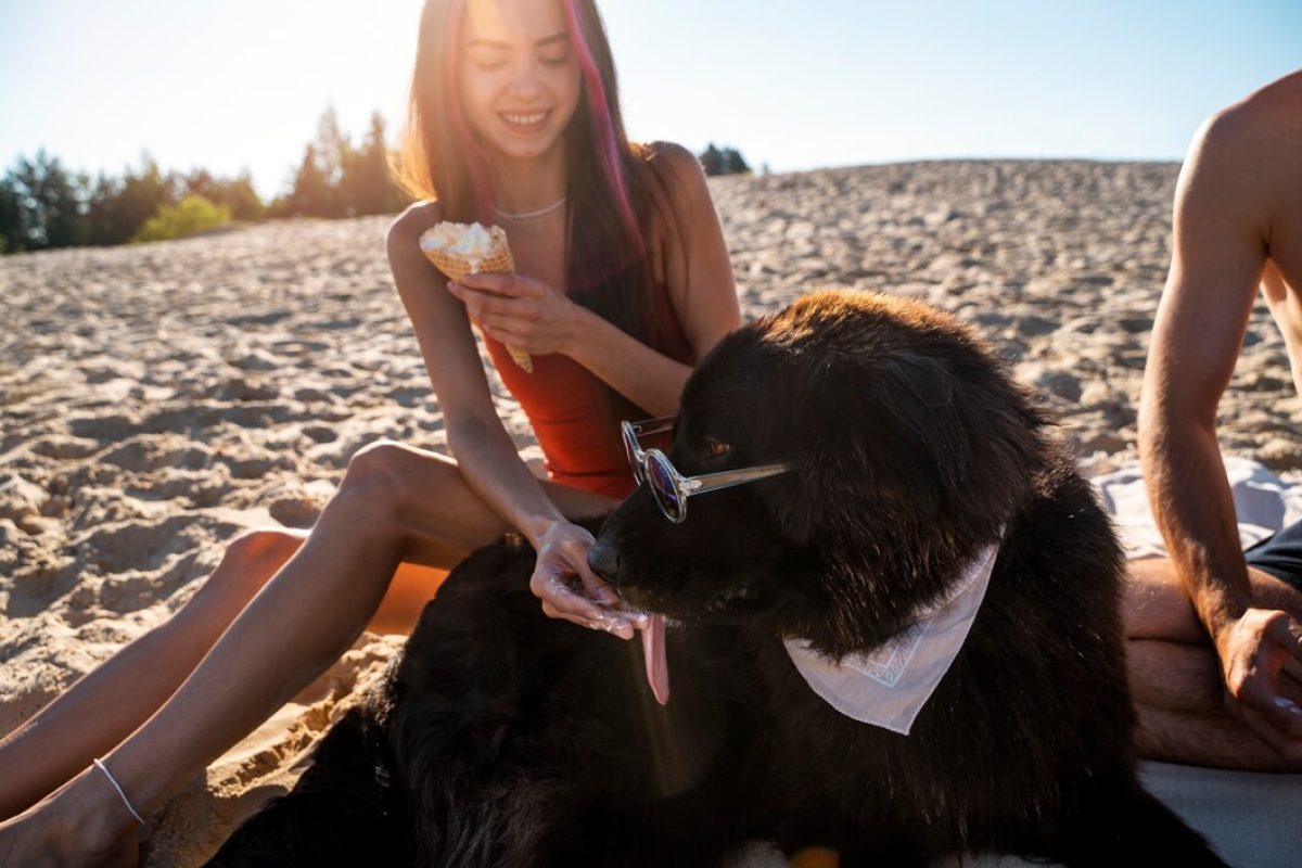 receitas-caseiras-para-refrescar-o-pet-1