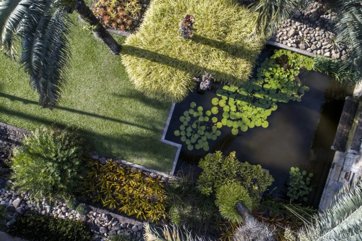 sitio-burle-marx-1024x575-1