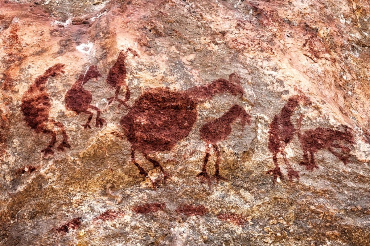 unnamed-20-1024x768-1