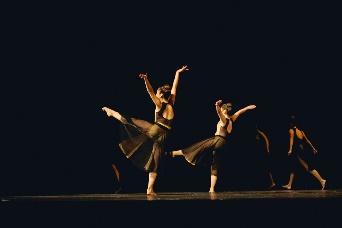 videodanca