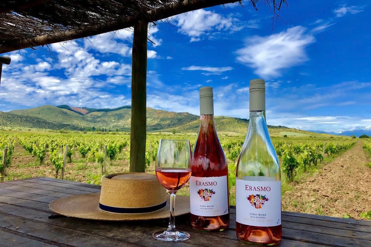 vinhos-chilenos-e-refrescantes-1